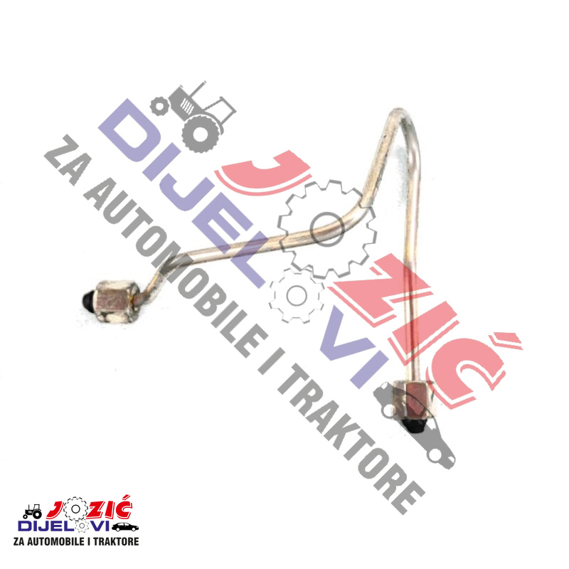 Daisy on the Ohoopee